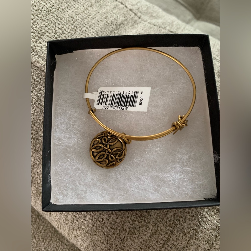 Alex and ani bracelet energy